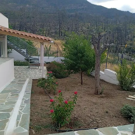 Villa Σπίτι Στο Βουνό Αλλά Μια Ανάσα Από Τη Θάλασσα Paleochori Exterior foto